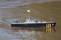 DSC04536 © Peter Taylor 2011