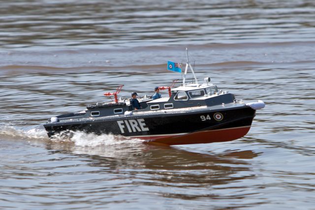 DSC04830 © Peter Taylor 2011
