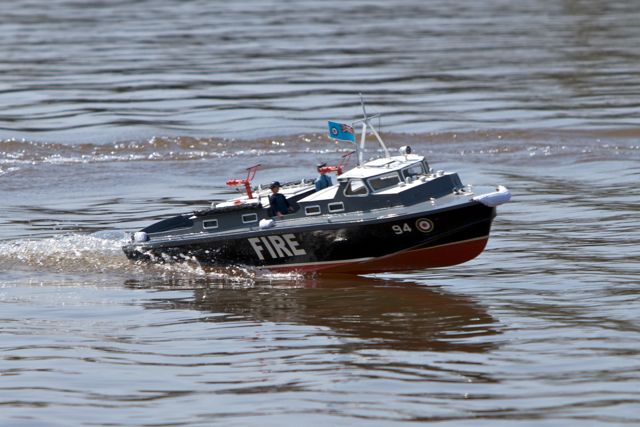 DSC04829 © Peter Taylor 2011
