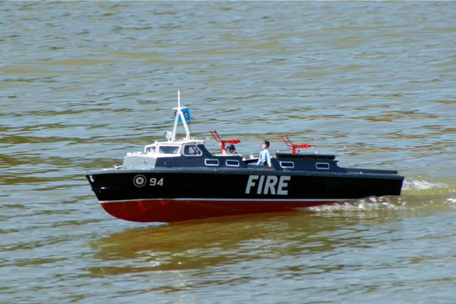 DSC01462 © Peter Taylor 2010
