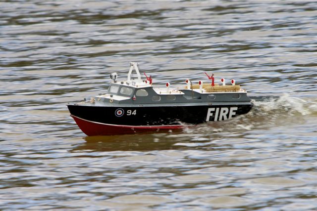 DSC07006 © Peter Taylor 2011