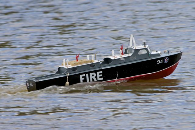 DSC07001 © Peter Taylor 2011