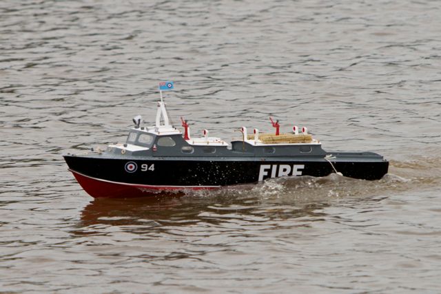 DSC06548 © Peter Taylor 2011