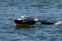 DSC08383 © Peter Taylor 2011