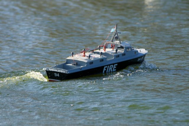 DSC08385 © Peter Taylor 2011