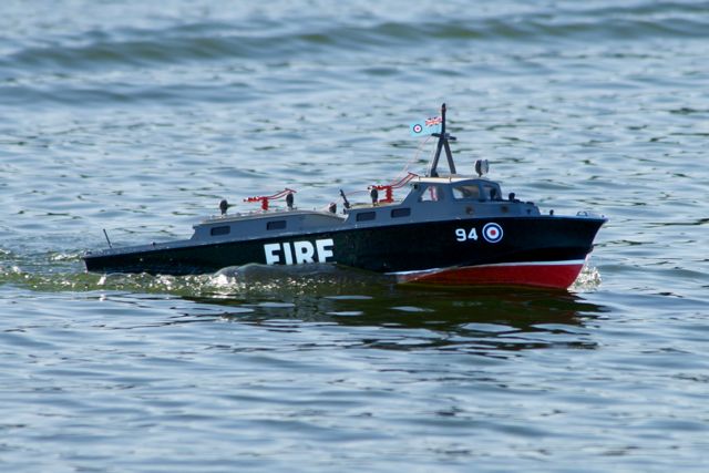 DSC08389 © Peter Taylor 2011