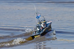DSC07333 © Peter Taylor 2011