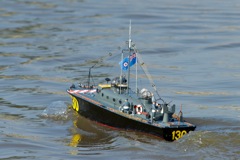 DSC07322 © Peter Taylor 2011