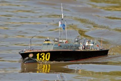 DSC07320 © Peter Taylor 2011