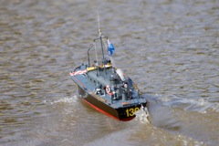 DSC07768 © Peter Taylor 2011