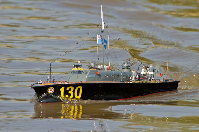DSC07320 © Peter Taylor 2011