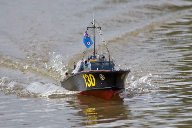 DSC07766 © Peter Taylor 2011