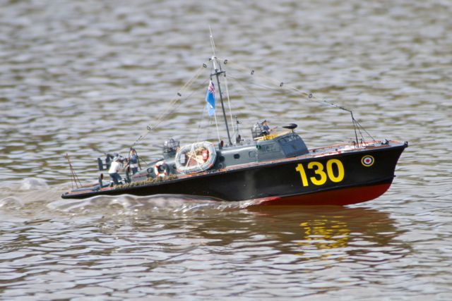 DSC07756 © Peter Taylor 2011