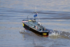 DSC07334 © Peter Taylor 2011