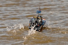 DSC01740 © Peter Taylor 2013