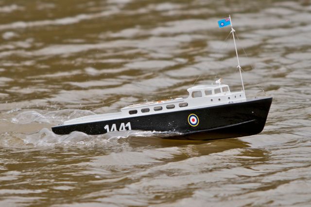 DSC01645 © Peter Taylor 2013