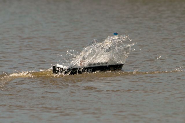 DSC01518 © Peter Taylor 2013