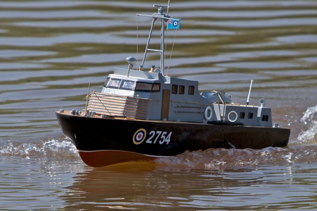 DSC04983 © Peter Taylor 2011