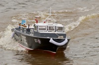 DSC06573 © Peter Taylor 2011