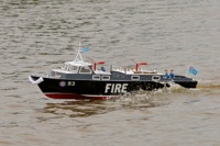 DSC06575 © Peter Taylor 2011