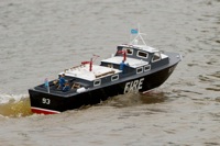 DSC06569 © Peter Taylor 2011
