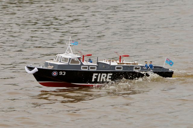 DSC06575 © Peter Taylor 2011