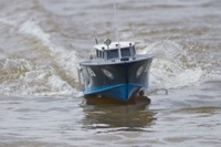 DSC07846 © Peter Taylor 2011