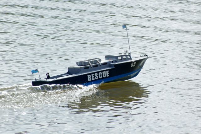 DSC03116 © Peter Taylor 2010