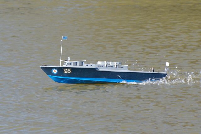 DSC02986 © Peter Taylor 2010