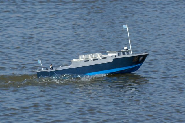DSC02896 © Peter Taylor 2010