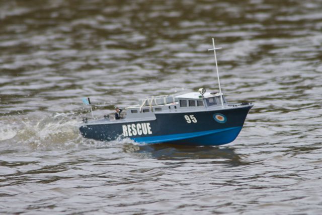 DSC07851 © Peter Taylor 2011