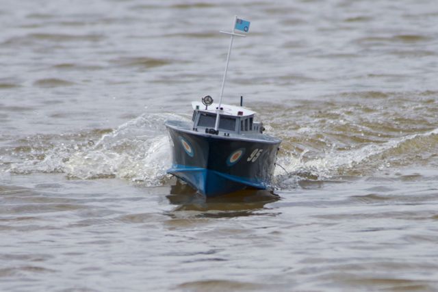DSC07844 © Peter Taylor 2011