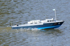 DSC02894 © Peter Taylor 2010