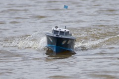 DSC07844 © Peter Taylor 2011