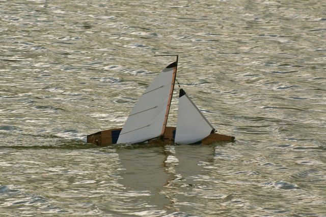 DSC02777 © Peter Taylor 2009