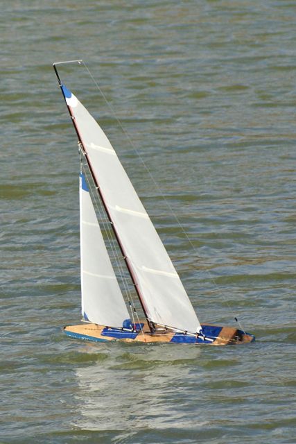 DSC02784 © Peter Taylor 2009