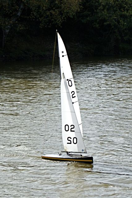 DSC07158 © Peter Taylor 2008