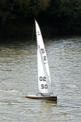 DSC07158 © Peter Taylor 2008