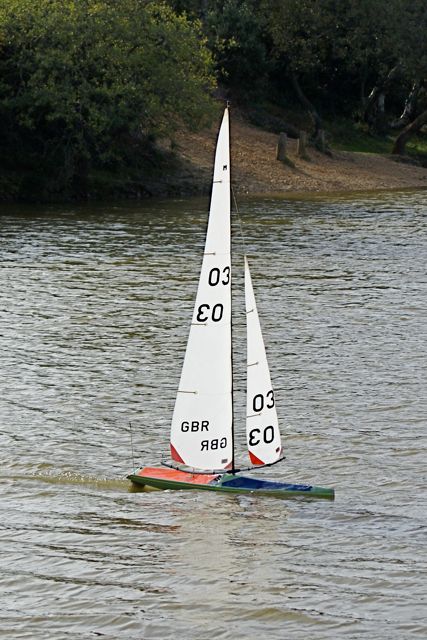 DSC07162 © Peter Taylor 2008