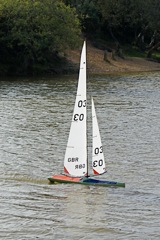 DSC07162 © Peter Taylor 2008