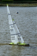 DSC07203 © Peter Taylor 2008