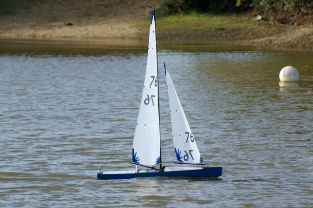 DSC07148 © Peter Taylor 2008