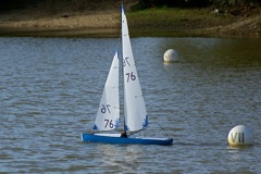 DSC07122 © Peter Taylor 2008