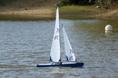 DSC07148 © Peter Taylor 2008