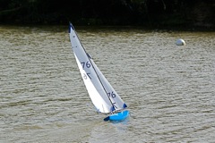 DSC07260 © Peter Taylor 2008