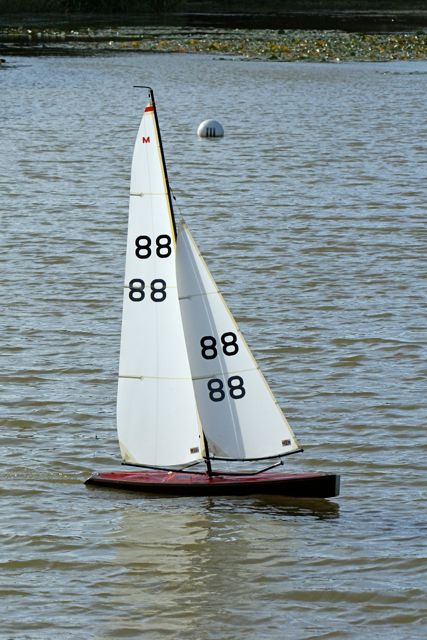 DSC07171 © Peter Taylor 2008