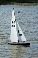 DSC07171 © Peter Taylor 2008