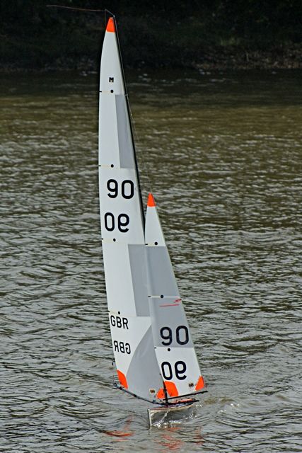 DSC07127 © Peter Taylor 2008