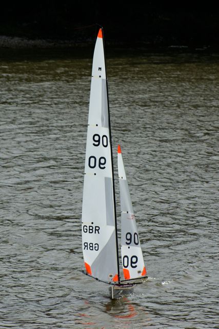 DSC07128 © Peter Taylor 2008