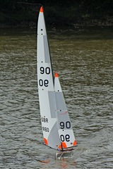 DSC07127 © Peter Taylor 2008